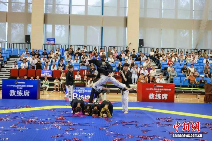 2025全国跆拳道俱乐部联赛黑龙江站落幕 43支队伍